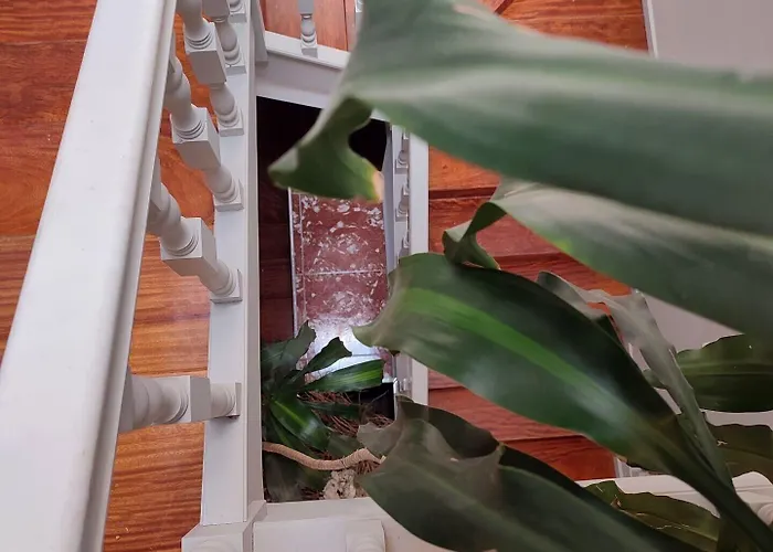 Vila Hotel By Vimahotels